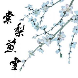 20170429文君也棠梨煎雪
