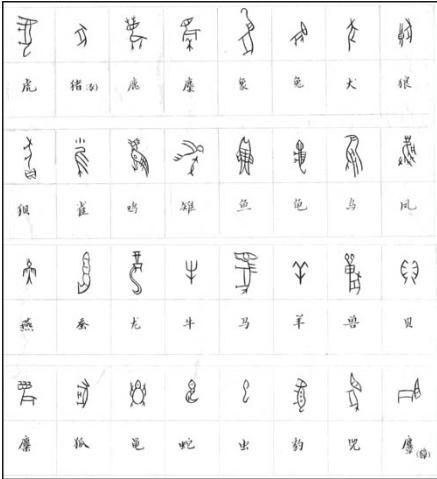 各种动物的甲骨文字怎么写 比如猫. 诸位 谢谢呢