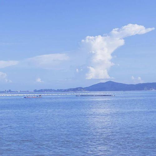 微信头像 背景图