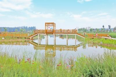 美丽的金堤河国家湿地公园