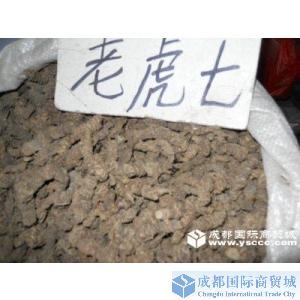 中药材 老虎七