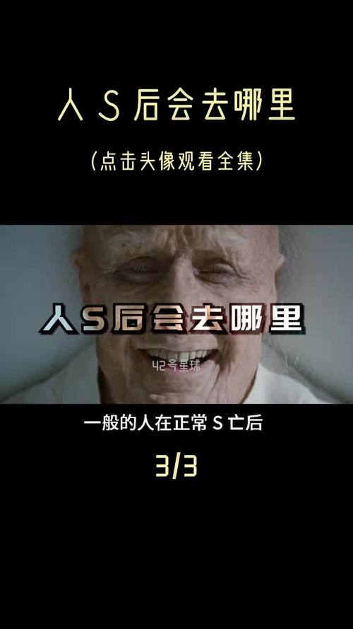 人死后会去哪3不管死后在哪生前都要好好活一回