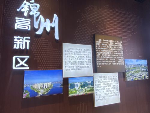 锦州高新区规划图