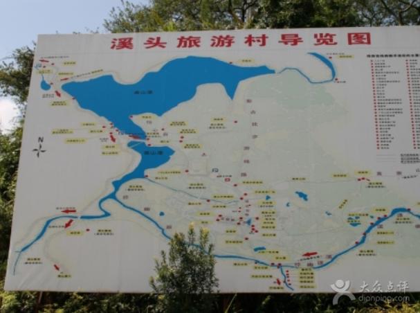 溪头村_朱红薰衣草