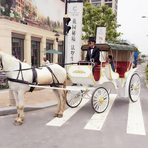 欧式马车 皇家马车租赁 合肥马车厂家 质廉价优 欢迎来询