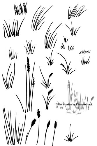 首页 电脑软件 教育教学 素材下载 > ps手绘青草|野草|杂草ps笔刷包