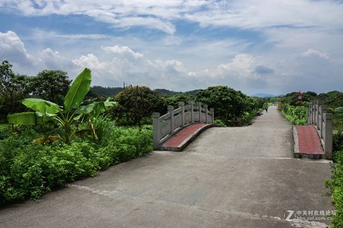 花都区花东镇港头村古村落—随影