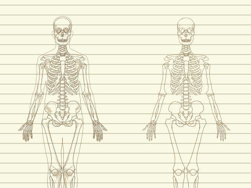 人体骷髅架简笔画