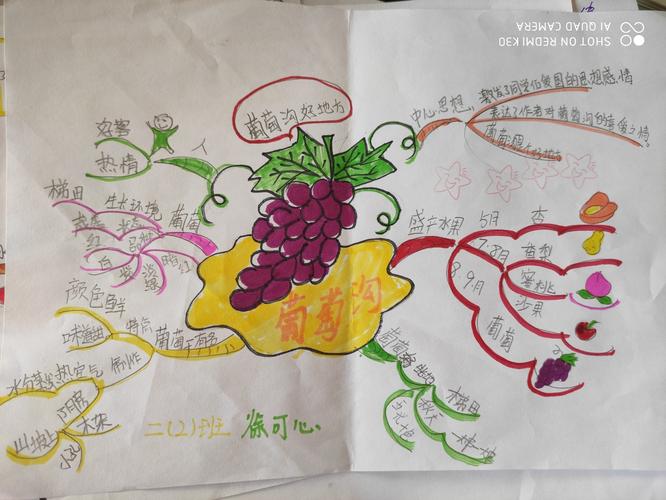 《葡萄沟》思维导图