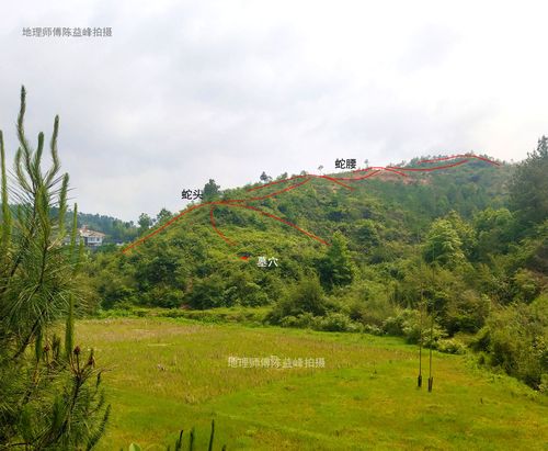 陈益峰:黄蛇赶哈形,曾家祖坟 - 美篇