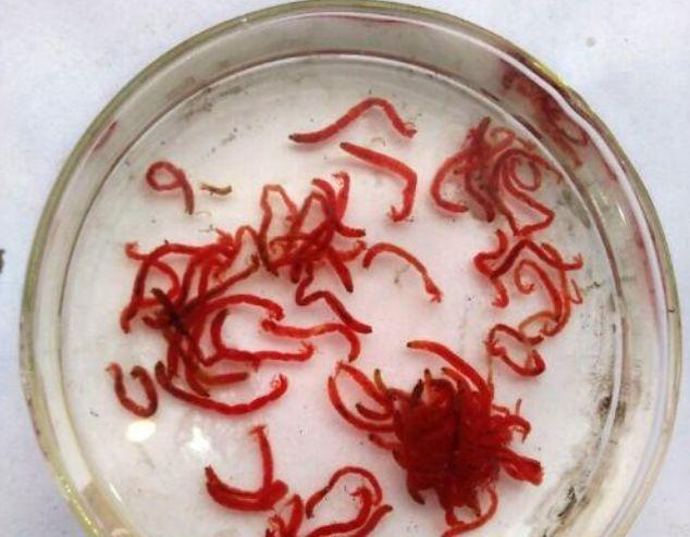 警惕这些潜伏在身边的危害