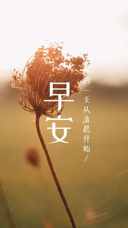 晨曲| 美好的一天,从清晨开始!