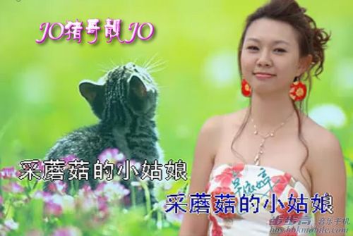 【让童年飞一会】  那个时候童谣偶像最火爆的,个人认为是卓依婷