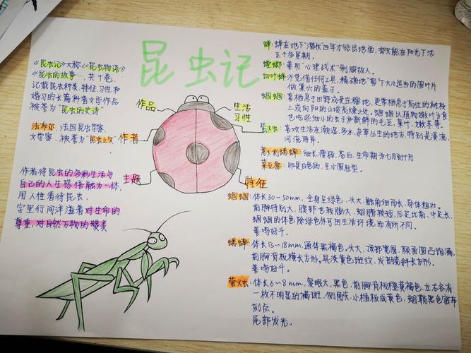 8年11《昆虫记》思维导图作业