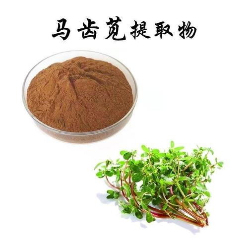 马齿苋提取物 purslane extract