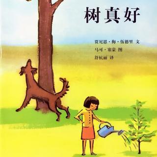【no妈讲故事】树真好