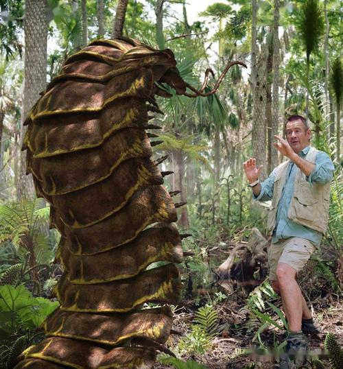 2米长的"巨型蜈蚣"你见过没有?