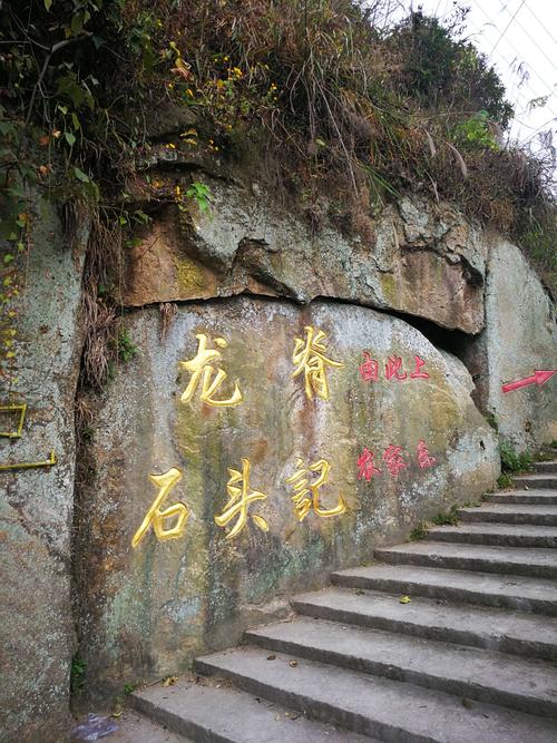 温州大罗山/光岙/山鸡坑水库海拔580米/度山林场/龙脊