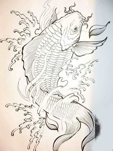 鲤鱼纹身手稿