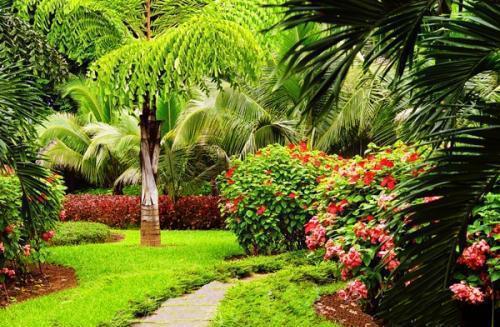 云南旅游景点推荐,带你走进西双版纳#热带花卉园#(低音号)