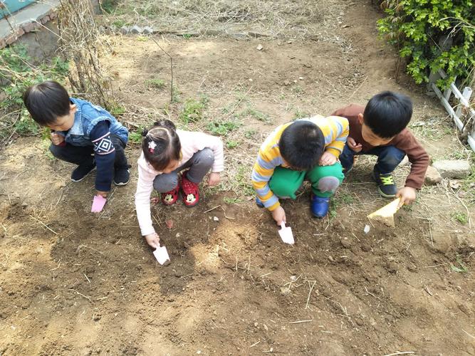 拥抱春天,播种希望