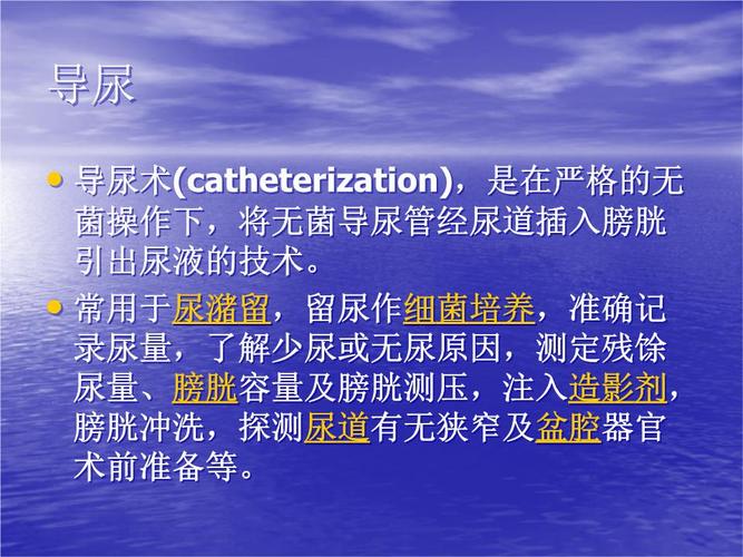 导尿术演示文.ppt