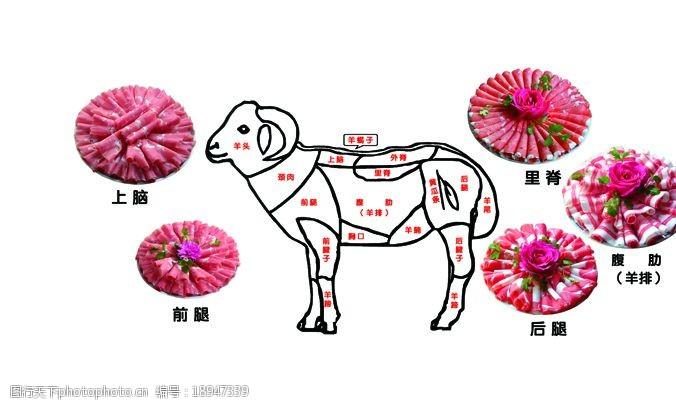 整羊分割图图片