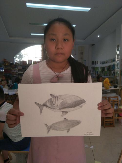 素描基础班《鲨鱼》