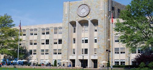 圣马克与圣约翰大学学院