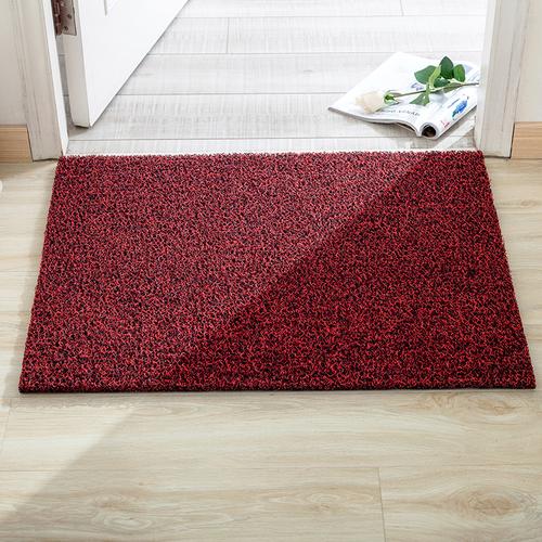 丝圈地垫地毯进门入户门垫门厅防滑垫子门口客厅玄关塑料脚垫定制