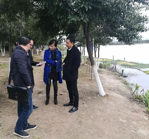 市环保局副局长王进光来生态园调研水质监测市控点工作