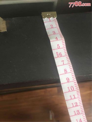 大型贝雕画长140厘米宽80厘米厚9厘米(长城古塞)