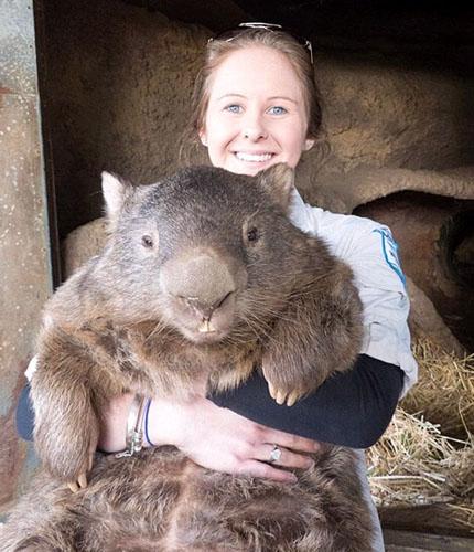 世界上最大的老鼠长1米重18斤