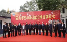 锦江镇