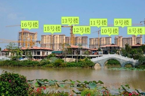 碧桂园珊瑚宫殿10月工程进度组图:海悦天8-16号楼