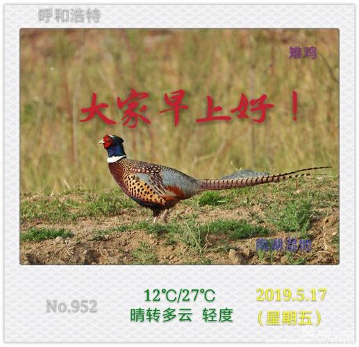大家早上好!只要太阳放出光芒.最厚的乌云也会镶上金边!(10)