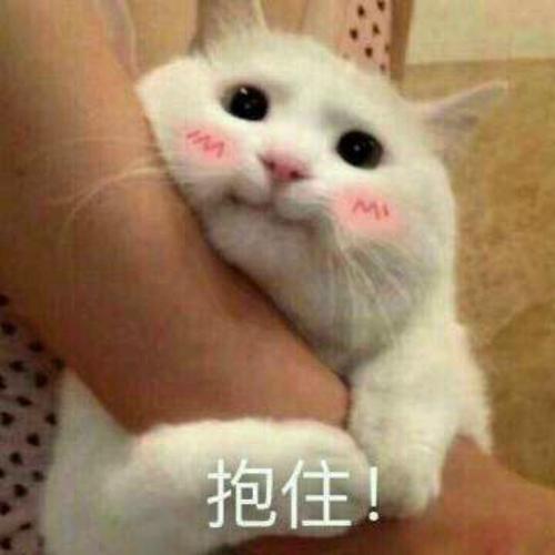 【表情包】抱住