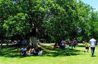 大树底下好乘凉