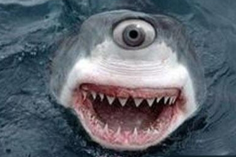 渔民海中捞上"独眼鲨鱼",长相恐怖,老人说一句话让大家担心!