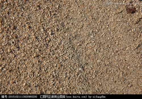 沙土里有金子吗