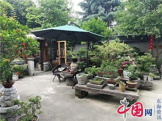 农村不仅生态优美,空气清新,而且果蔬新鲜,鱼虾肥美,让人向往.