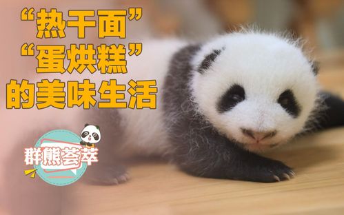 来自热干面和蛋烘糕的美味生活