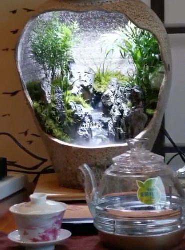 桌面上的雨林陶罐微景观_微景观_皮衣_好物推荐--_家居家装_家居装饰