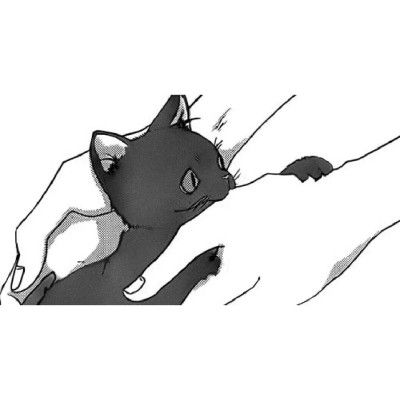 动漫黑白小猫头像女生
