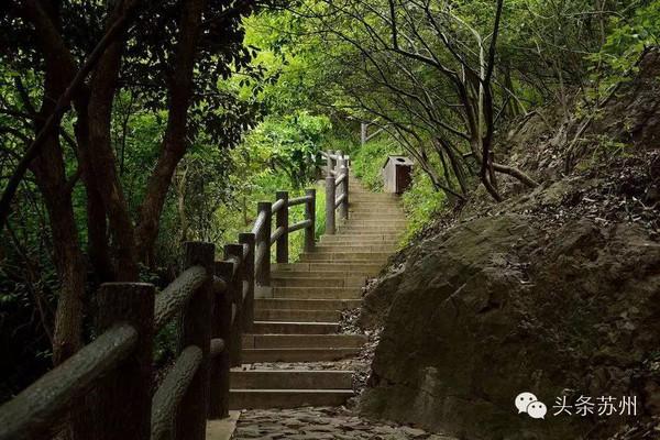 浪起来!苏州最全的爬山线路,来场说走就走的春游!