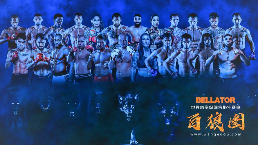 手机上效果不好,适合做电脑壁纸 电脑版(1) 大家都知道ufc是综合格斗