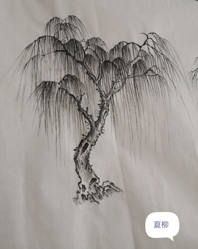 柳树的画法～夏柳