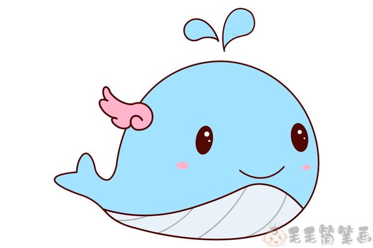可爱的q版鲸鱼简笔画