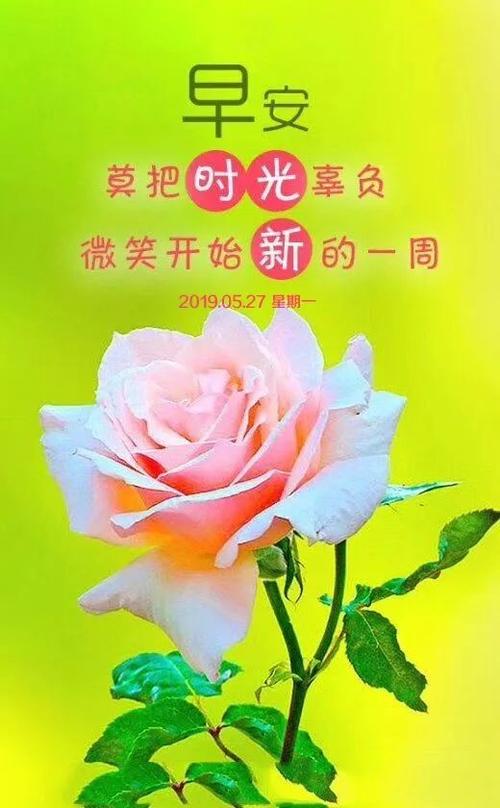 新的一周早安心语正能量走心说说语录周一漂亮早安图片正能量