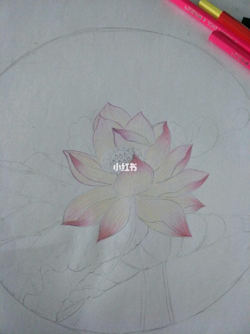 彩铅《莲》_彩铅_文化_绘画